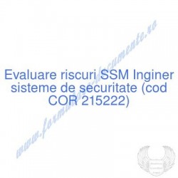 Inginer sisteme de...