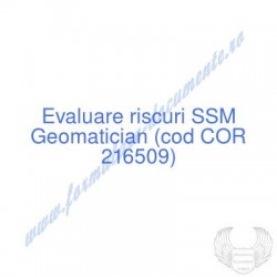 Geomatician (cod COR...