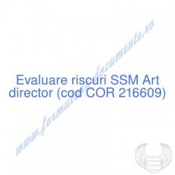 Art director (cod COR...
