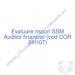 Auditor financiar (cod COR...