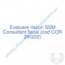 Consultant fiscal (cod COR...