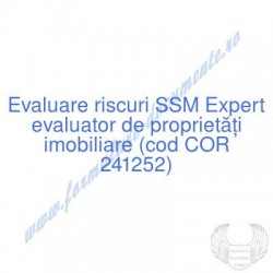 Expert evaluator de...