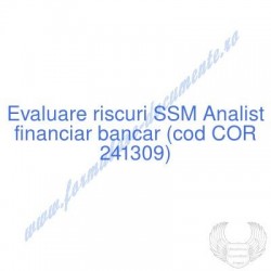 Analist financiar bancar...