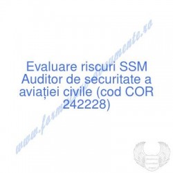 Auditor de securitate a...