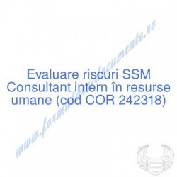 Consultant intern în...