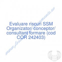 Organizator, conceptor,...