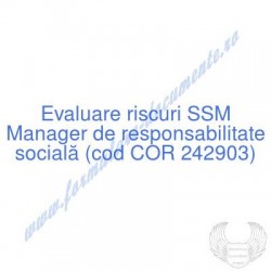 Manager de responsabilitate...