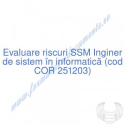 Inginer de sistem în...