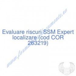 Expert localizare (cod COR...