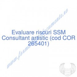 Consultant artistic (cod...