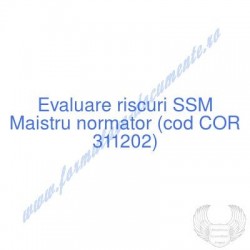 Maistru normator (cod COR...