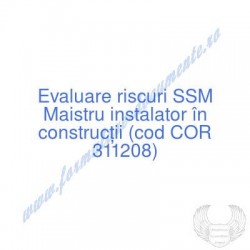 Maistru instalator în...