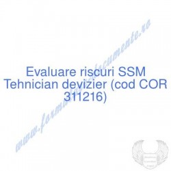Tehnician devizier (cod COR...