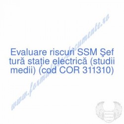 Şef tură staţie electrică...
