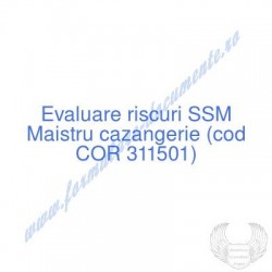 Maistru cazangerie (cod COR...