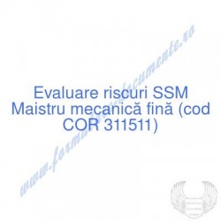 Maistru mecanică fină (cod...