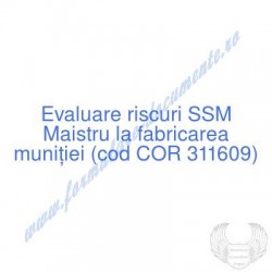 Maistru la fabricarea...