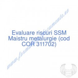 Maistru metalurgie (cod COR...