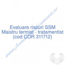 Maistru termist -...