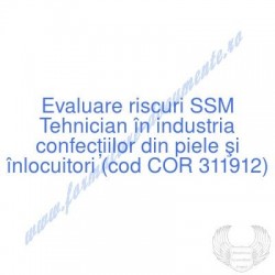Tehnician în industria...