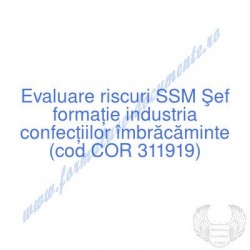 Şef formaţie industria...