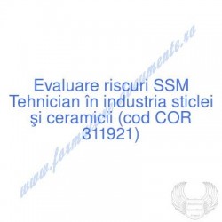Tehnician în industria...