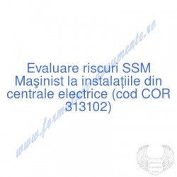 Maşinist la instalaţiile...