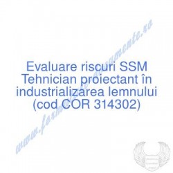 Tehnician proiectant în...