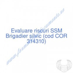 Brigadier silvic (cod COR...