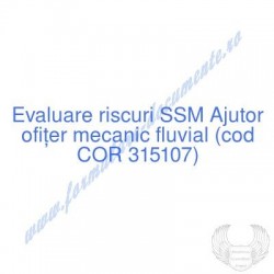 Ajutor ofiţer mecanic...