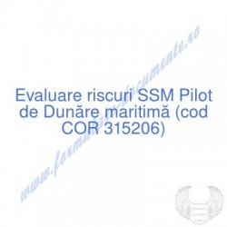 Pilot de Dunăre maritimă...