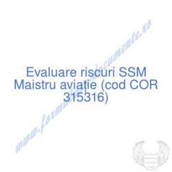 Maistru aviaţie (cod COR...