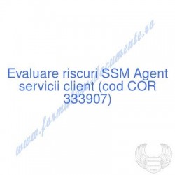 Agent servicii client (cod...