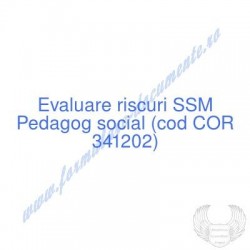 Pedagog social (cod COR...