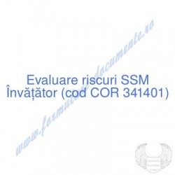 Învățător (cod COR 341401)...
