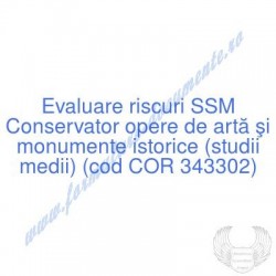 Conservator opere de artă...