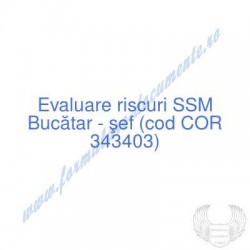 Bucătar - şef (cod COR...