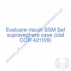Şef supraveghere case (cod...