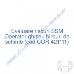 Operator ghişeu birouri de...