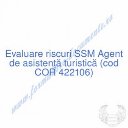 Agent de asistenţă...
