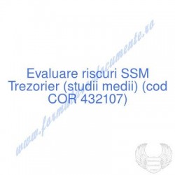 Trezorier (studii medii)...