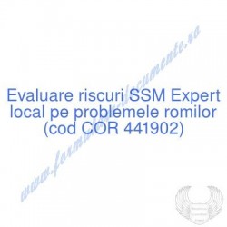Expert local pe problemele...